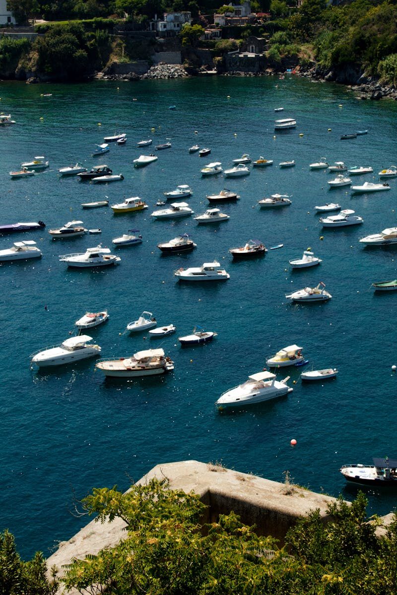 Bond Disputes Legal Framework